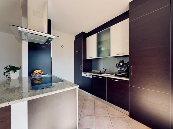 LUMINOSO 2.5 LOCALI CON TERRAZZA E BOX AUTO A GIUBIASCO 4