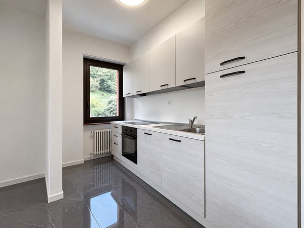 AFFITTASI ATTICO ARREDATO DI 2.5 LOCALI CON BALCONE A LUGANO 5