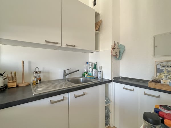 AFFITTASI ELEGANTE 1.5 LOCALI CON VISTA APERTA A LUGANO 5