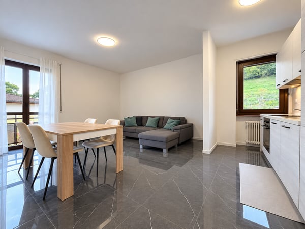 AFFITTASI ATTICO ARREDATO DI 3.5 LOCALI CON BALCONE A LUGANO 1