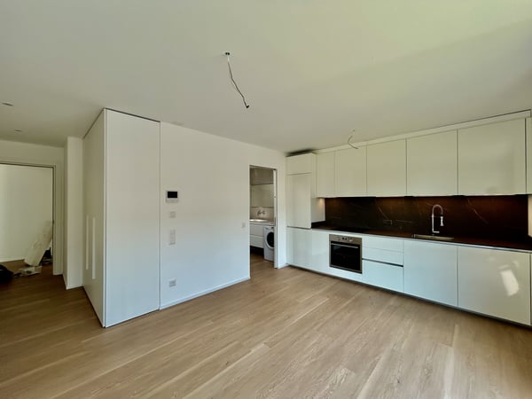 AFFITTASI MODERNO E CONFORTEVOLE 1.5 LOCALI A NOVAZZANO 1