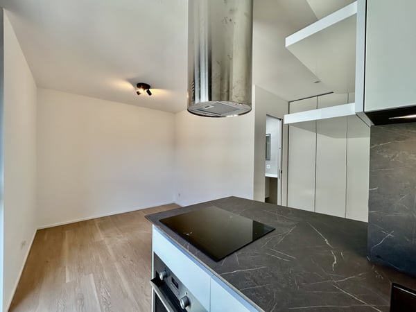 AFFITTASI COMODO E MODERNO 1.5 LOCALI A NOVAZZANO 5