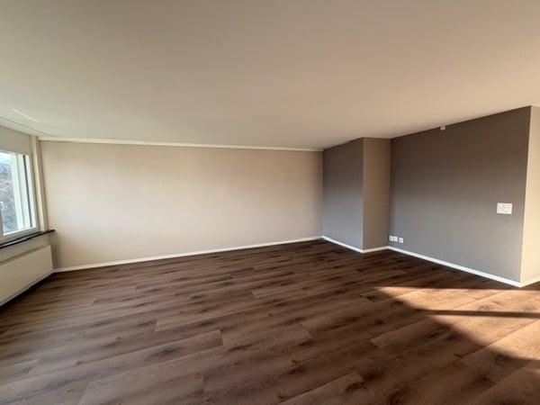 Helle, neu sanierte 1 1/2-Zimmerwohung 5