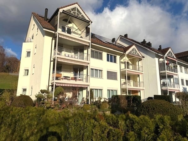 Helle, neu sanierte 1 1/2-Zimmerwohung 1