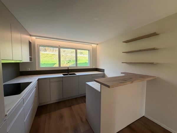 Helle, neu sanierte 1 1/2-Zimmerwohung 4