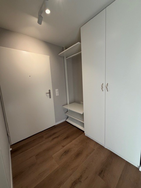 Helle, neu sanierte 1 1/2-Zimmerwohung 2