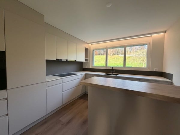 Helle, neu sanierte 1 1/2-Zimmerwohung 3