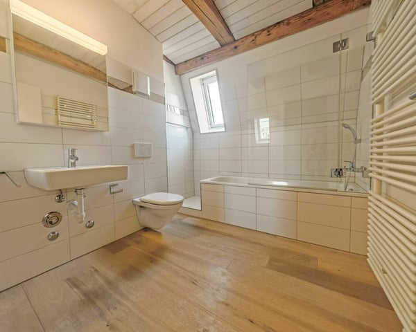 Neugut 1 Zimmer Loft Wohnung 8