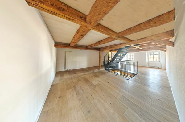 Neugut 1 Zimmer Loft Wohnung 7