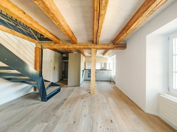 Neugut 1 Zimmer Loft Wohnung 5