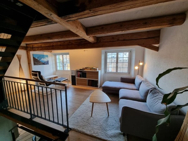 Neugut 1 Zimmer Loft Wohnung 6