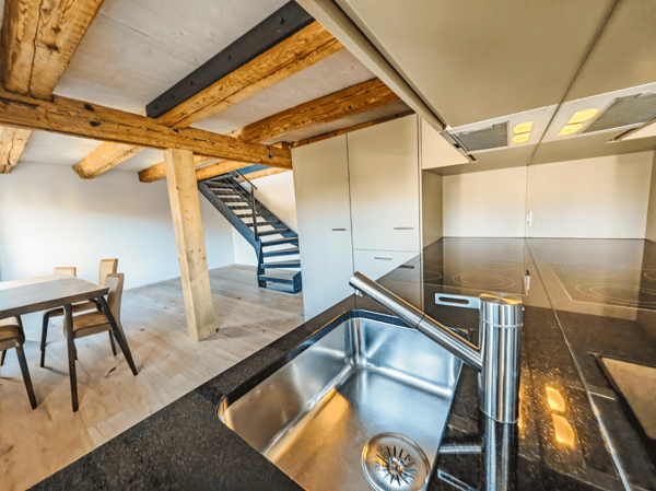 Neugut 1 Zimmer Loft Wohnung 4