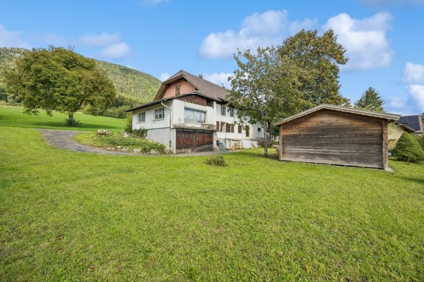 Bauland mit Altbauliegenschaft in Bettlach mit vielseitigen Nutzungsmöglichkeiten 6