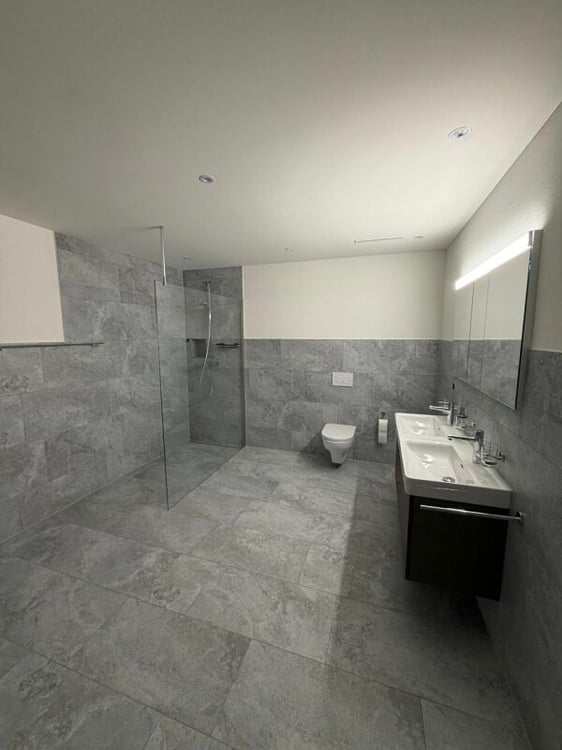 2.5-Zimmer-Loft an prominenter Lage in Reichenburg 12