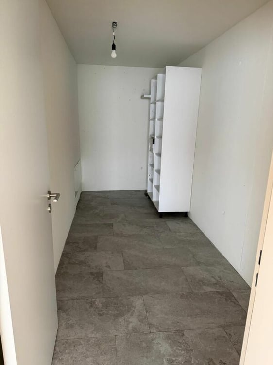 2.5-Zimmer-Loft an prominenter Lage in Reichenburg 14
