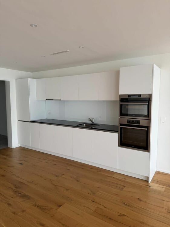 2.5-Zimmer-Loft an prominenter Lage in Reichenburg 6