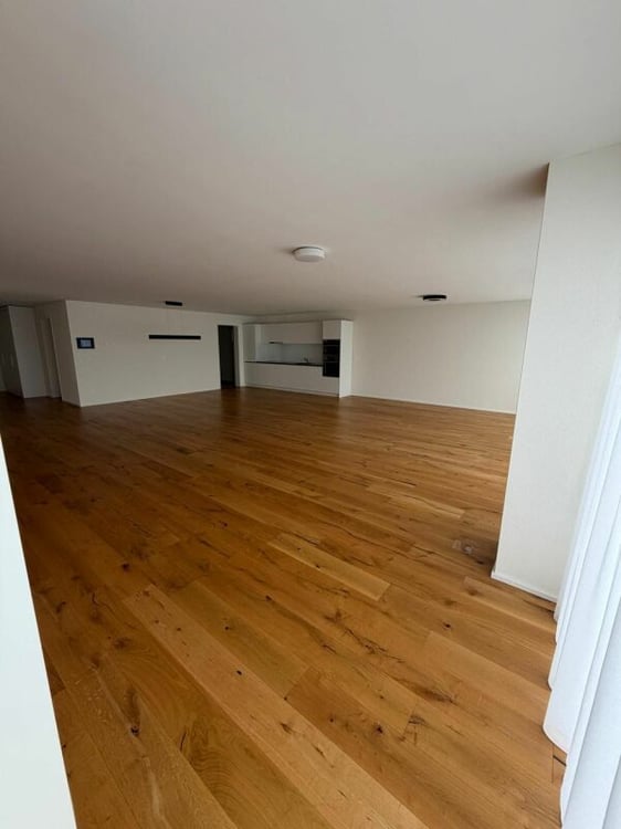 2.5-Zimmer-Loft an prominenter Lage in Reichenburg 7