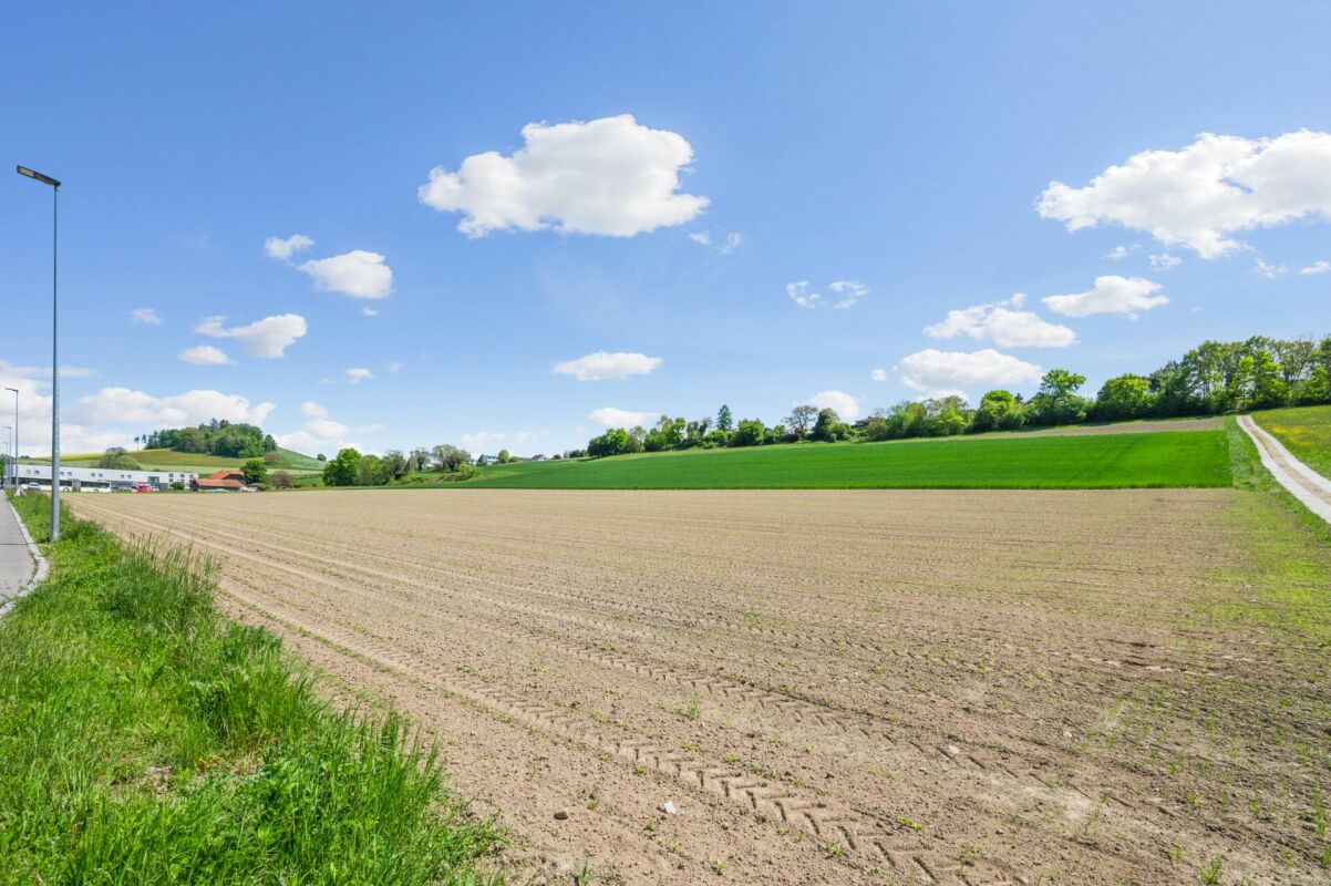 Terreno industriale spazioso nella regione economica molto richiesta di Murten