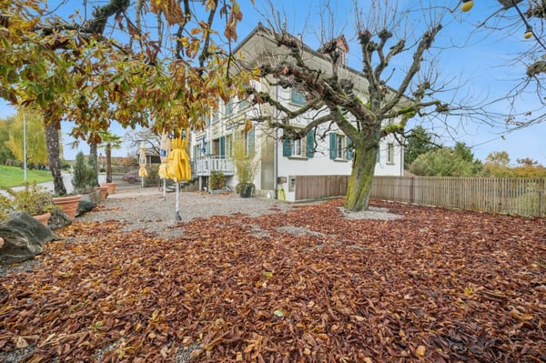 Attraktive Liegenschaft mit Restaurant und grossflächigem Parkplatz 12