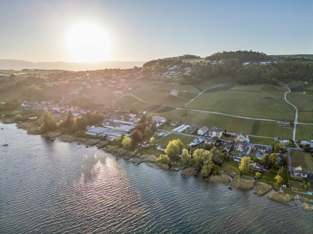 Exklusives Einfamilienhaus mit privatem Steg am Murtensee