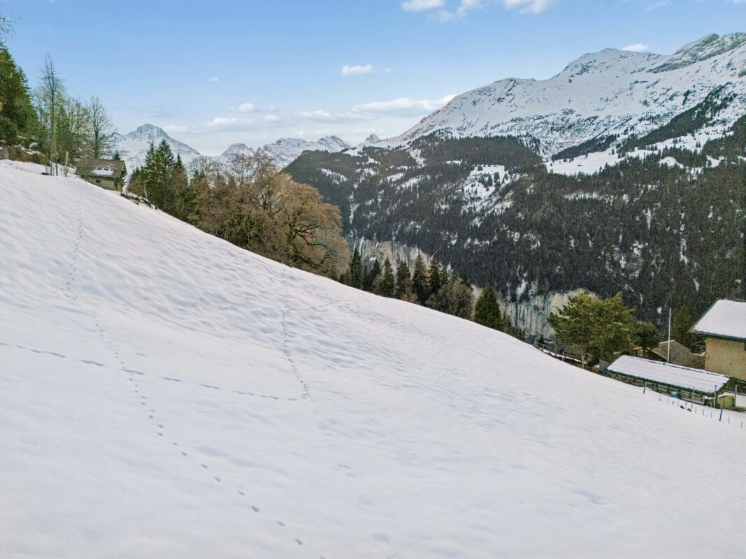 Spacious building land plot in a very good location in Wengen