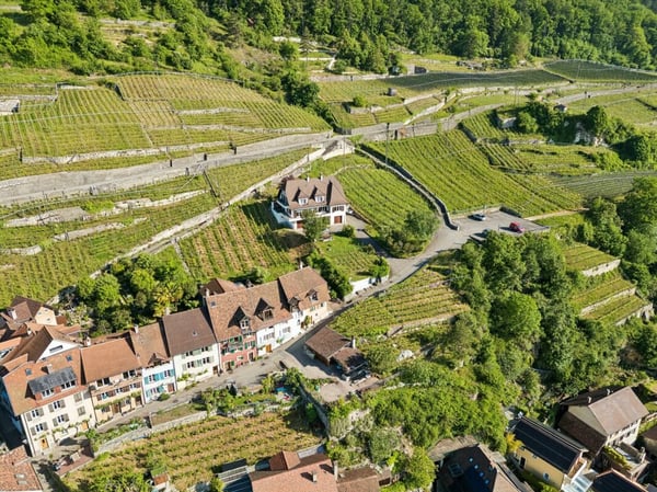 Historisches Anwesen mit Reben und eindrucksvoller Seesicht 11