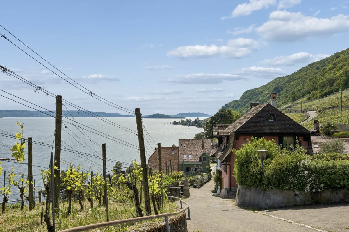 Historisches Anwesen mit Reben und eindrucksvoller Seesicht