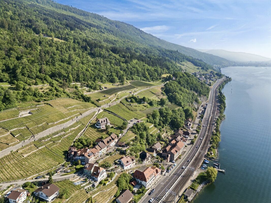 Historisches Anwesen mit Reben und eindrucksvoller Seesicht
