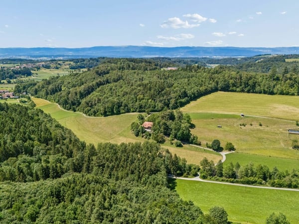 Charmantes Bauernhaus mit zwei Wohneinheiten und grosszügiger Landparzelle 13