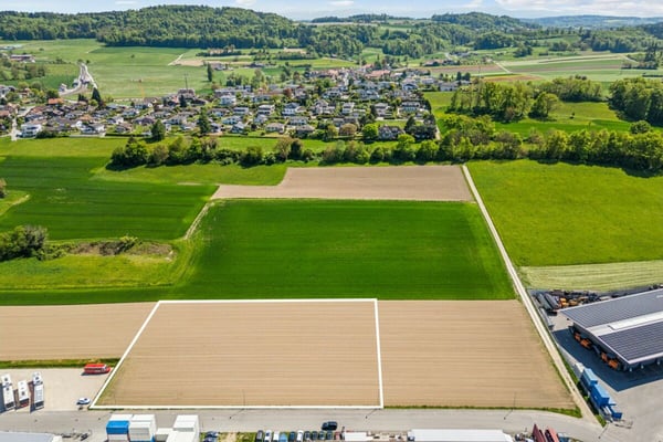 Grosszügiges Industriebauland im gefragten Wirtschaftsraum Murten 3