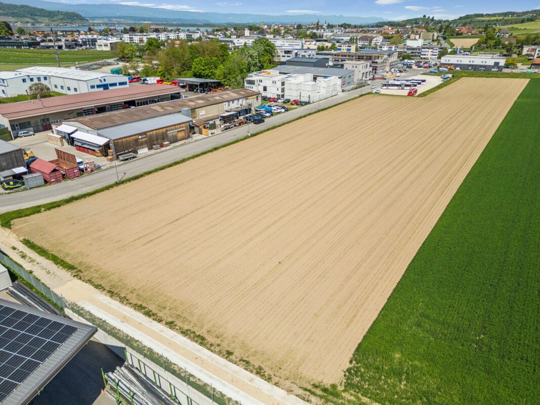 Grosszügiges Industriebauland im gefragten Wirtschaftsraum Murten