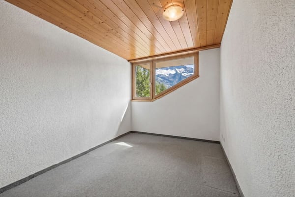 Geschäftschance mit Bergpanorama 13