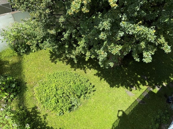 Hell, komfortabel, mit Cheminée und moderner Küche 15