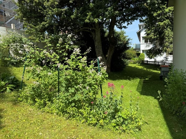 Hell, komfortabel, mit Cheminée und moderner Küche 16