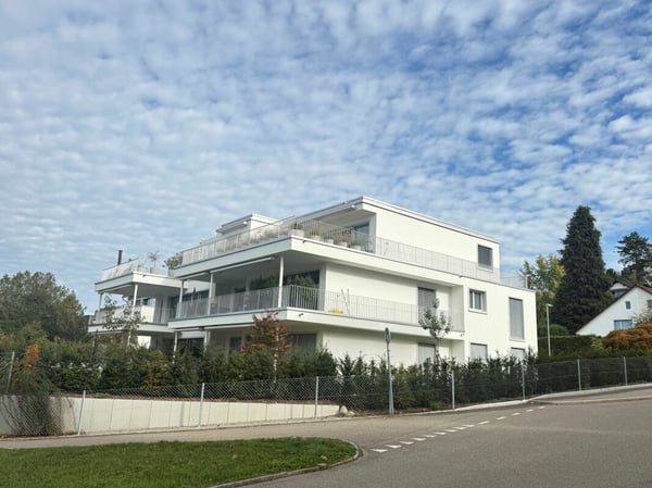 Stilvolles Wohnen mit grosszügiger Terrasse 1