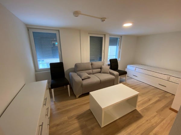 Neu renovierte Studiowohnung mit privatem Eingang  zu vermieten 2