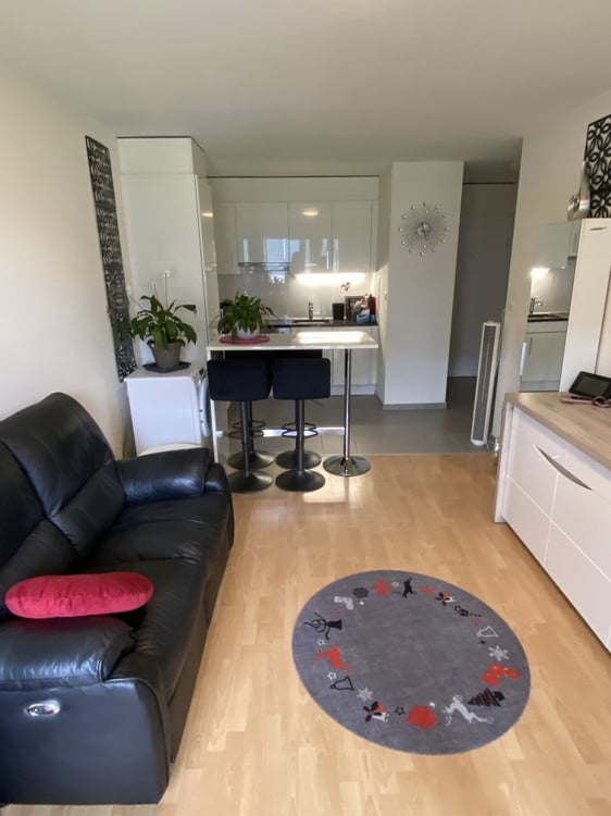 Charmant appartement de 1.5 pièces à Sierre avec vue imprenable 3