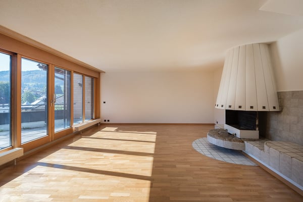 Helle und Weiträumige 1.5-Wohnug zu vermieten 2