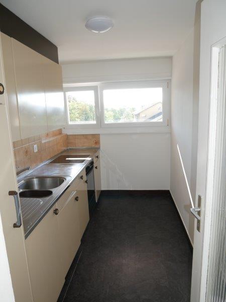 Schöne und grosse 1-Zimmerwohnung zu vermieten! 2