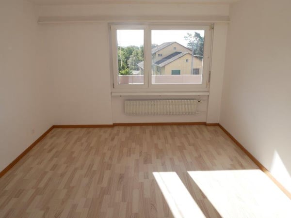 Schöne und grosse 1-Zimmerwohnung zu vermieten! 4