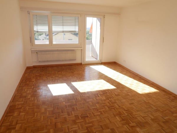 Schöne und grosse 1-Zimmerwohnung zu vermieten! 3