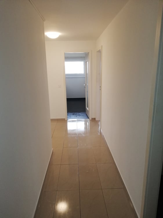 Schöne und grosse 1-Zimmerwohnung zu vermieten! 6