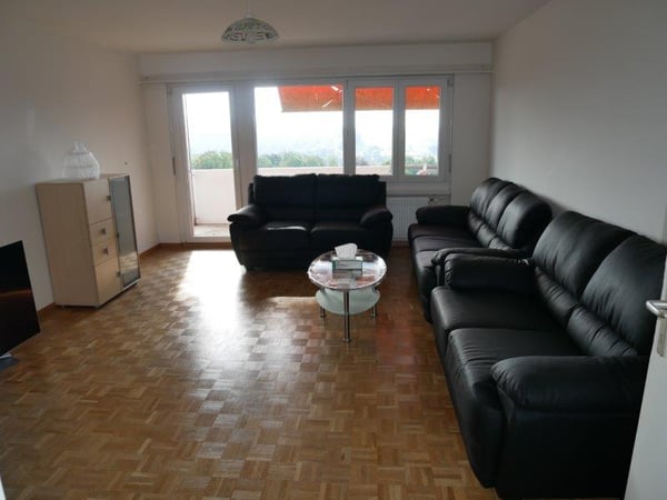 Schöne und grosse 1 1/2-Zimmerwohnung zu vermieten 5