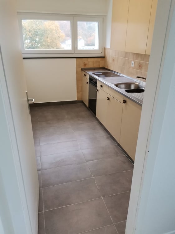 Schöne und grosse 1 1/2-Zimmerwohnung zu vermieten 2