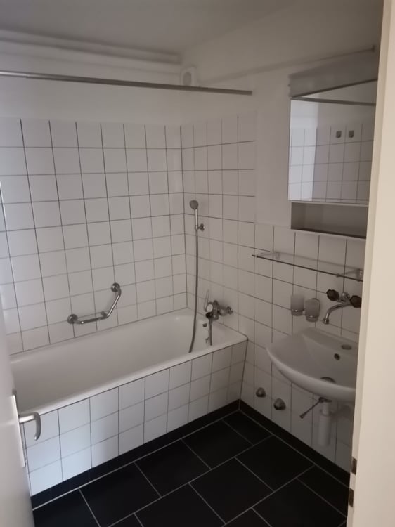 Schöne und grosse 1 1/2-Zimmerwohnung zu vermieten 4