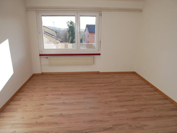 Schöne und grosse 1-Zimmerwohnung zu vermieten 4