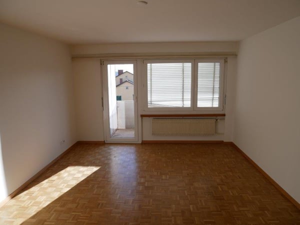 Schöne und grosse 1-Zimmerwohnung zu vermieten 3