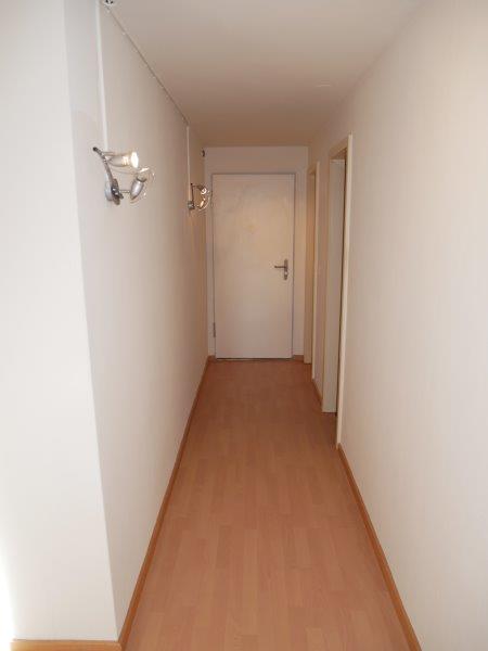 Schöne und grosse 1-Zimmerwohnung zu vermieten 5