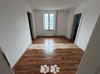 Charmante 3-Zimmer-Wohnung in ruhiger Lage von Biel 4