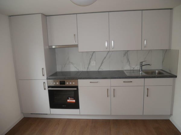 Renovierte 1,5-Zimmer-Wohnung zu vermieten 2